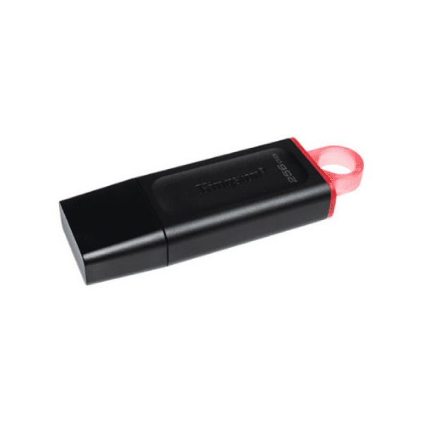 Kingston 256GB Data Traveller
