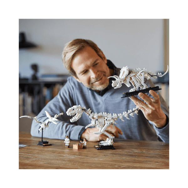 Lego Ideas Dinosaur Fossils 21320-1 Lego Ideas Dinosaur Fossils 21320