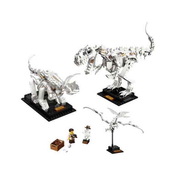 Lego Ideas Dinosaur Fossils 21320 Lego Ideas Dinosaur Fossils 21320