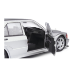 Mercedes-Benz 190 Evo II (W201) (Astral Silver) 1990-4