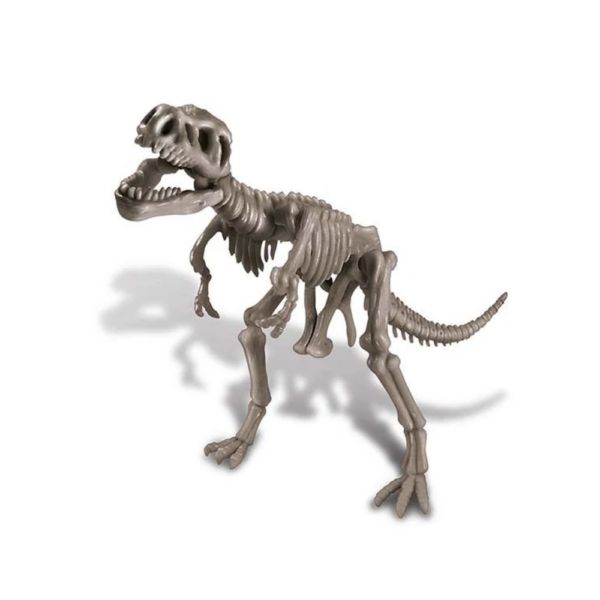 4M Dig a Dinosaur T-Rex-2 4M Dig a Dinosaur T-Rex