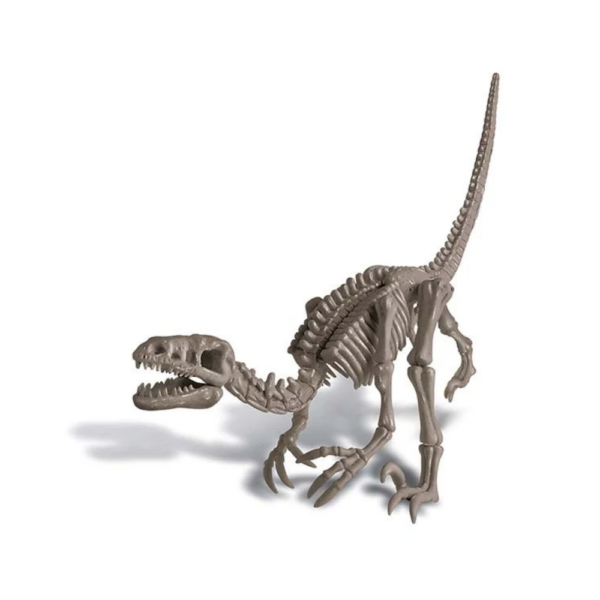 4M Dig a Dinosaur - Velociraptor-2 4M Dig a Dinosaur - Velociraptor
