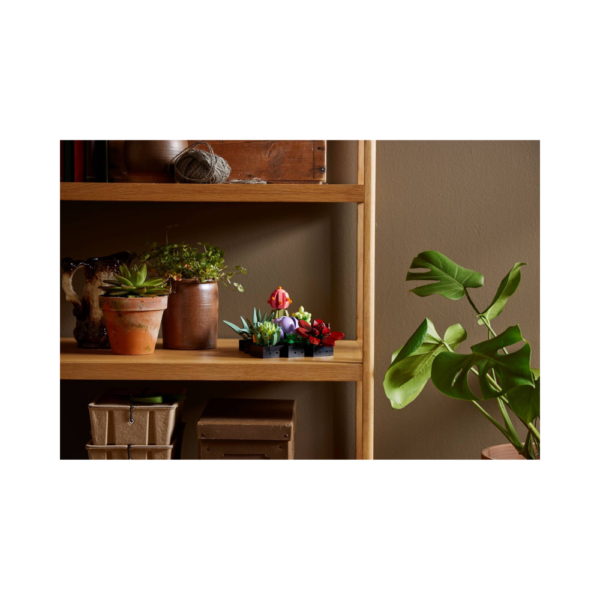 LEGO The Botanical Collection Succulents 10309